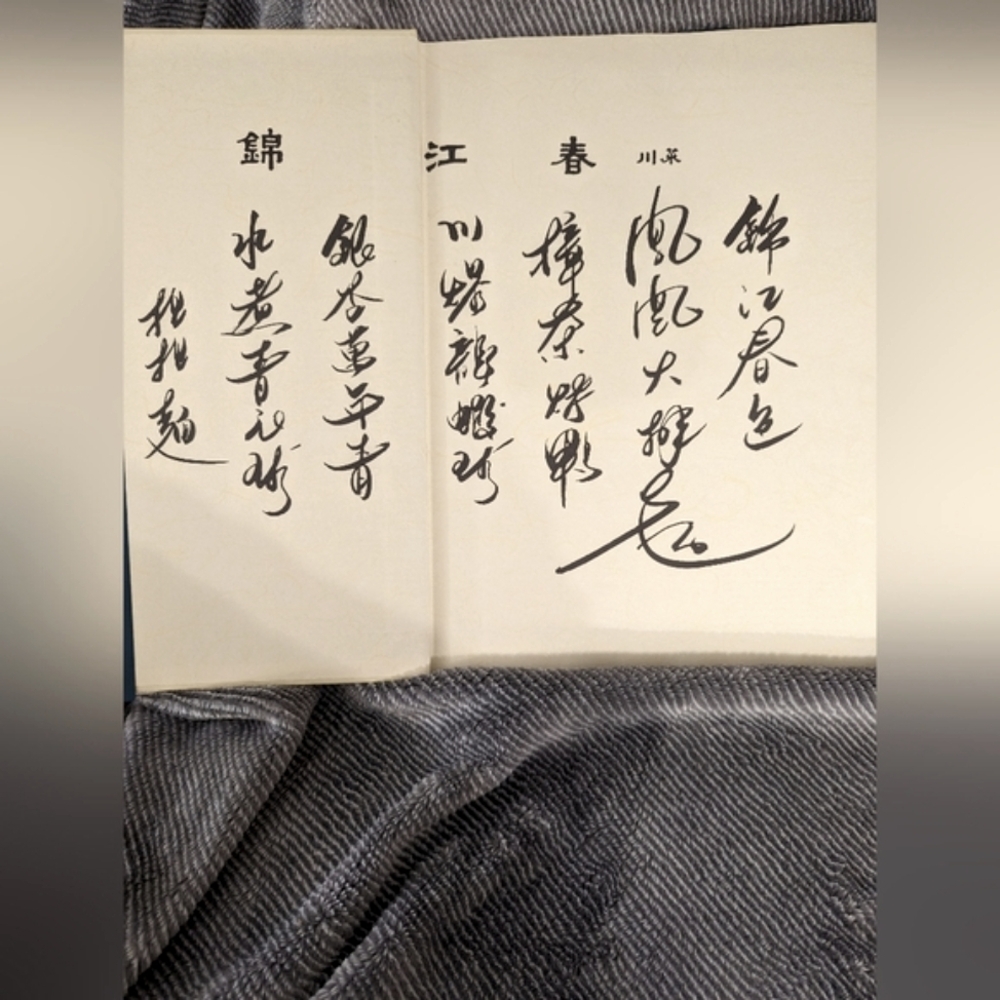 China The beautiful cookbook by Kevin Sinclair - Picture 6 of 10